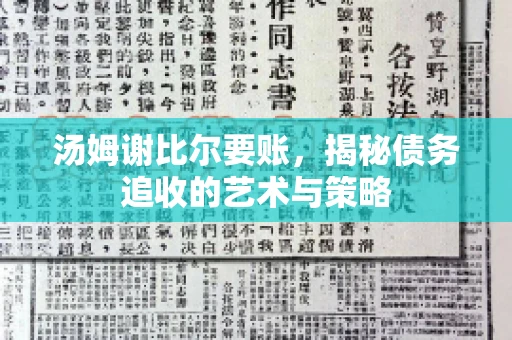 汤姆谢比尔要账，揭秘债务追收的艺术与策略
