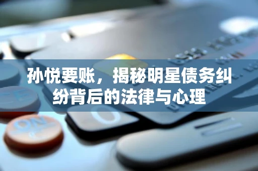 孙悦要账，揭秘明星债务纠纷背后的法律与心理