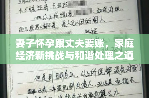 妻子怀孕跟丈夫要账，家庭经济新挑战与和谐处理之道
