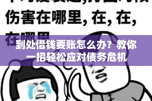 到处借钱要账怎么办？教你一招轻松应对债务危机