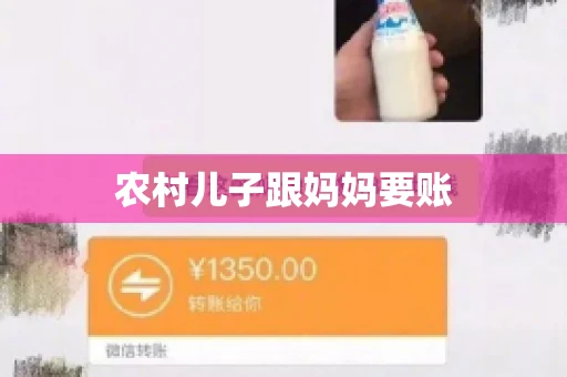 农村儿子跟妈妈要账