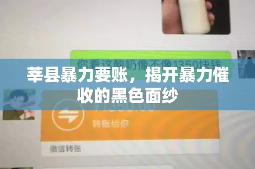 莘县暴力要账,揭开暴力催收的黑色面纱 莘县暴力要账,揭开暴力催收的黑色面纱