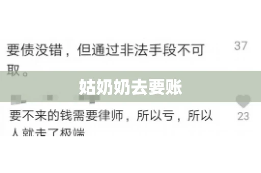 姑奶奶去要账