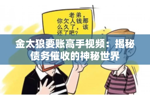 金太狼要账高手视频：揭秘债务催收的神秘世界