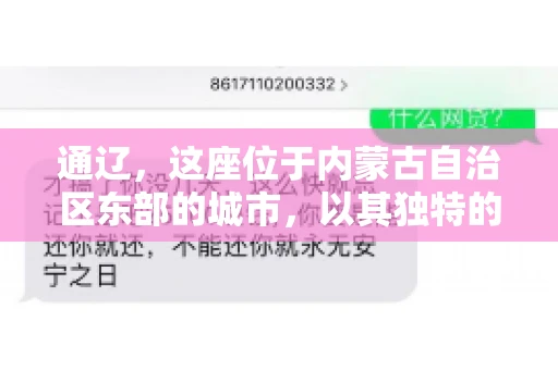 通辽，这座位于内蒙古自治区东部的城市，以其独特的地理位置和丰富的自然资源而闻名。然而，对于许多企业来说，通辽的另一个重要角色可能是其作为要账公司的聚集地。那么，通辽究竟有几家要账公司呢？今天，我们就来聊聊这个话题。