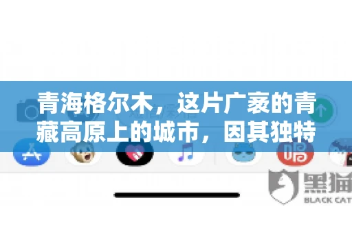 青海格尔木，这片广袤的青藏高原上的城市，因其独特的地理位置和丰富的自然资源而闻名。然而，对于一些借款人来说，这里可能因为逾期还款而接到催收电话。那么，青海格尔木的催收电话是哪家公司的呢？今天，我们就来聊聊这个话题。